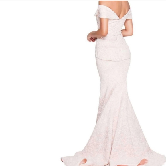 Terani Couture Blush and Gold Evening Gown - Picture 10 of 10